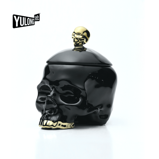 Skull Storage Box
