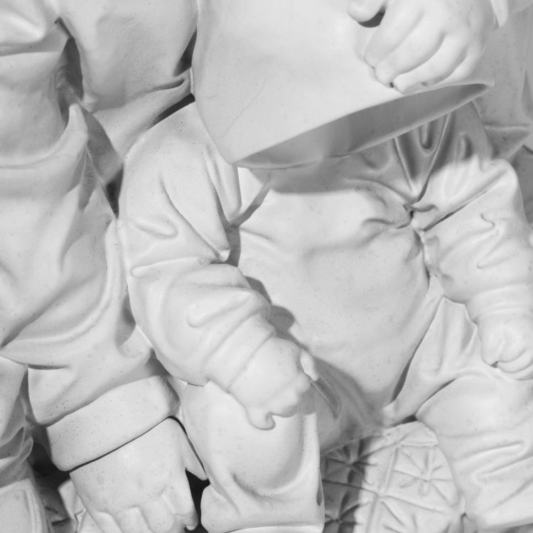 LIONS 那對兒獅子