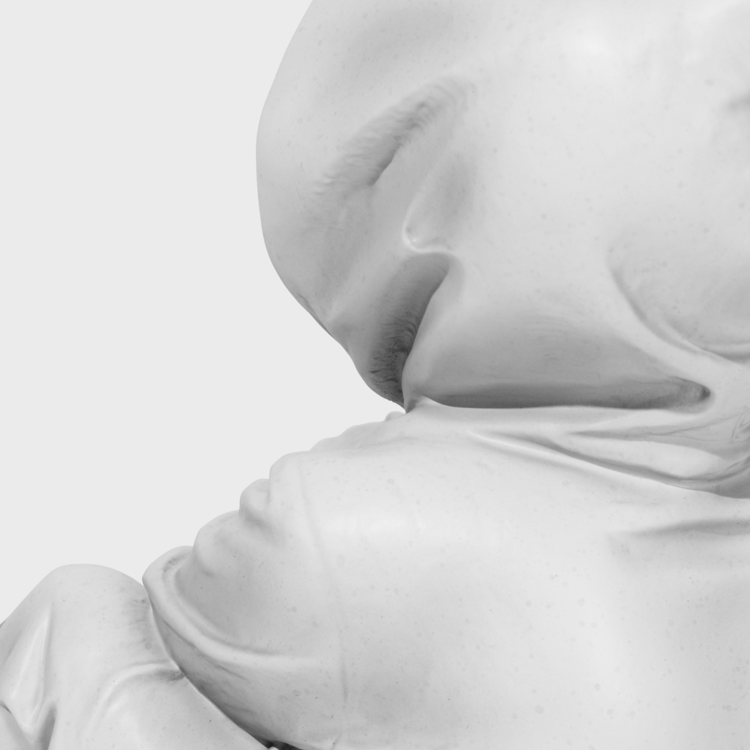 LIONS 那對兒獅子